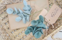 Image 2 of Mini suspensions d'eucalyptus pour les emballages cadeaux et les tables de fête