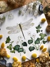 Dragonfly and ivy