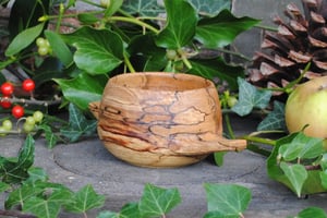 Image of beech quaich VI - tasse à whisky en hêtre VI