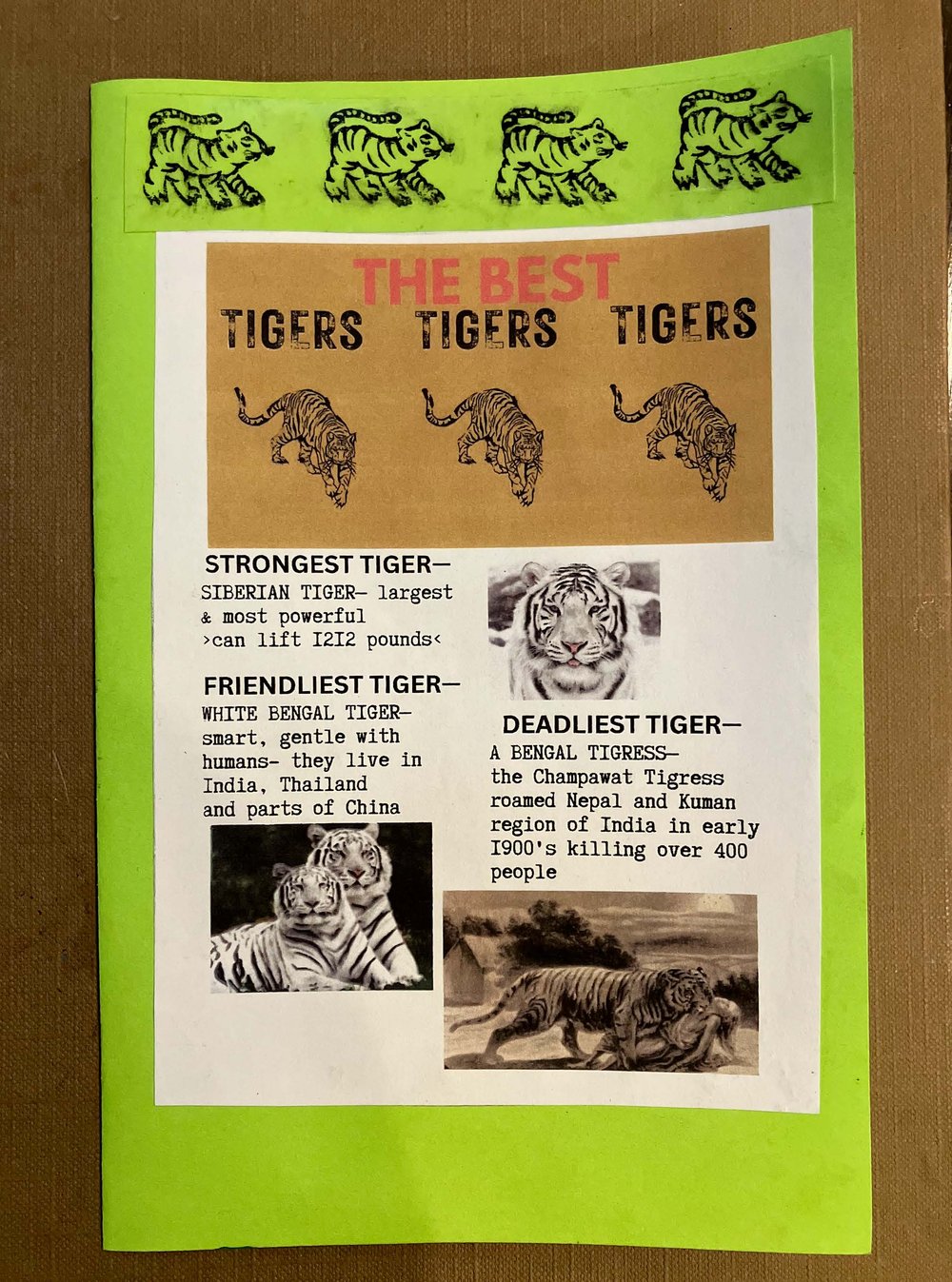 Tiger & Donuts