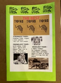 Image 8 of Tiger & Donuts