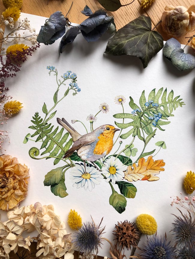 Robin and daisies