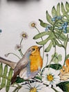 Robin and daisies