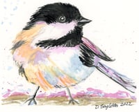 Chickadee Print