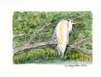 Egret at Edisto Print