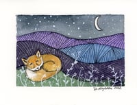 Winter Solstice Fox
