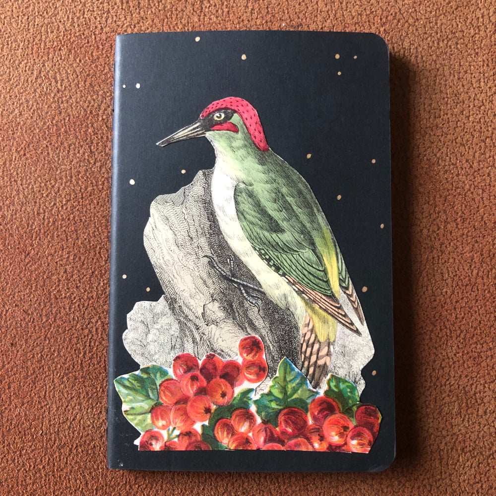 Image of Small Collaged Moleskine Note Sketch Book Antique Prints Woodpecker and Currants
