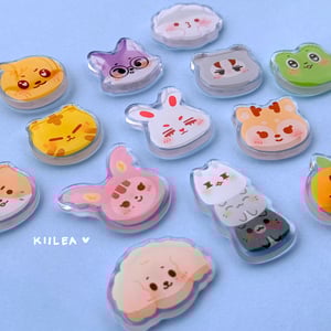 Image of seventeen miniteen acrylic pins