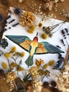 European bee-eater