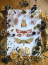 Pink and green insect trio