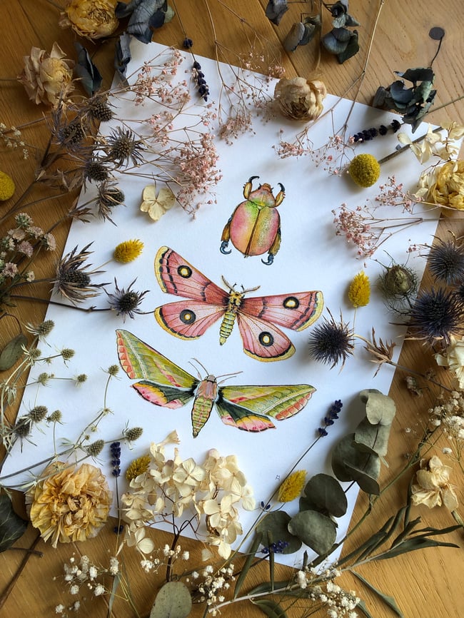 Pink and green insect trio