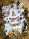 Pink and green insect trio