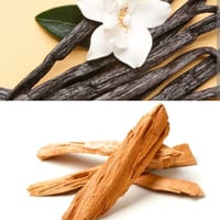 Image 1 of VANILLA NIGHT-Vanilla,Sandlewood 