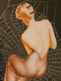 Image 4 of  VINTAGE PINUP COLLECTION - with real preserved spider web - Back profile - Erotica