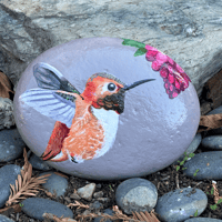 Image 5 of Hummingbird Rock
