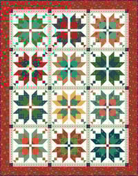 Image 1 of Aster Kit in In From the Cold
