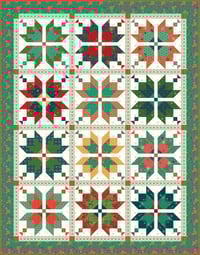 Image 2 of Aster Kit in In From the Cold