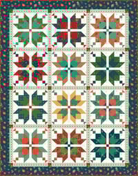 Image 3 of Aster Kit in In From the Cold