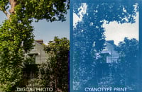 Image 1 of Personalized Cyanotypes 