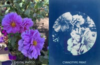 Image 2 of Personalized Cyanotypes 