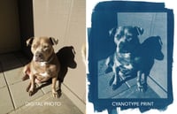 Image 4 of Personalized Cyanotypes 