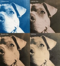 Image 2 of Personalized Toned Cyanotype 