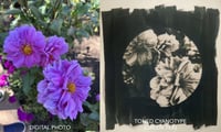 Image 3 of Personalized Toned Cyanotype 