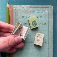 Dollhouse Miniature 1:12 Handmade Book Wind In The Willows