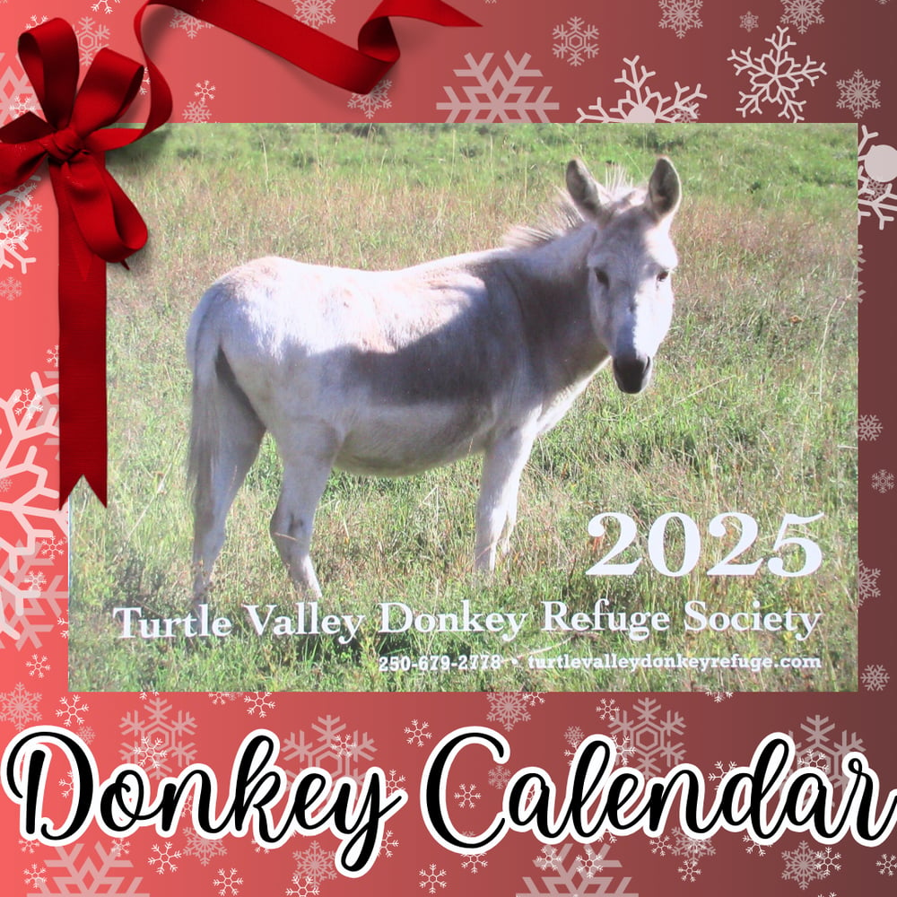 Image of 2025 Donkey Calendar