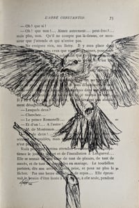 Image 5 of Antique Book Project - The Thrush Knocks