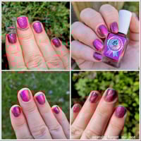 Image 12 of Frosted Cranberries *magnetic