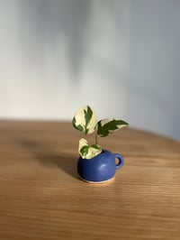 Image 2 of BLUEBERRY 𐃢 bud vase