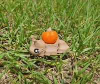 Image 1 of Pumpkin Snail