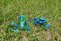 Image 13 of Mushroom Frogs