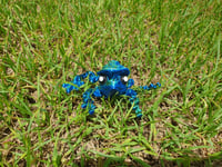 Image 14 of Mushroom Frogs