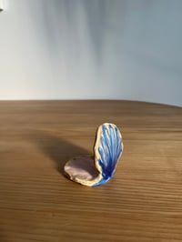 Image 2 of CLAM ▽ bits 'n' bobs dish