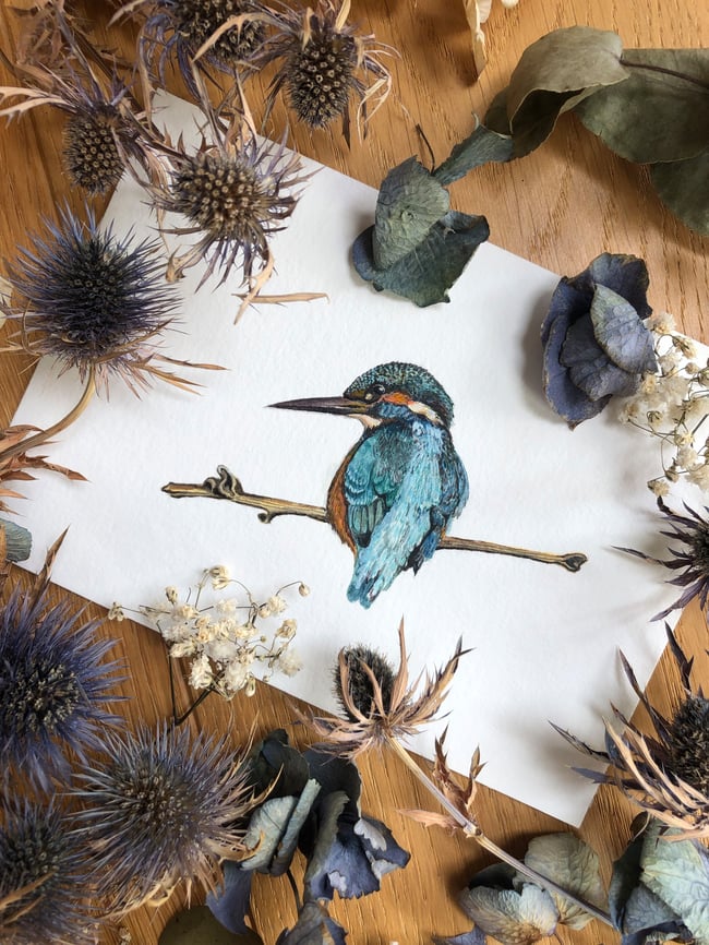 ORIGINAL Common Kingfisher Watercolor Painting