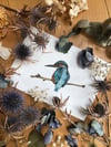 ORIGINAL Common Kingfisher Watercolor Painting