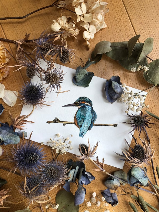 ORIGINAL Common Kingfisher Watercolor Painting