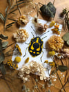 Cabbage Bug