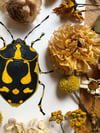 Cabbage Bug
