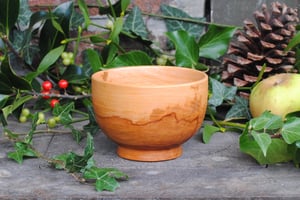 Image of cider bowl III - bolée III