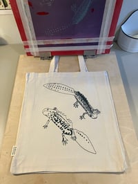Image 4 of Great Crested Newts Bag
