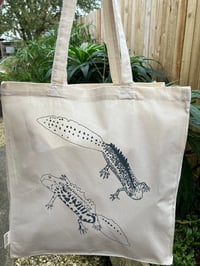 Image 2 of Great Crested Newts Bag