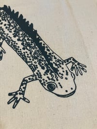 Image 3 of Great Crested Newts Bag
