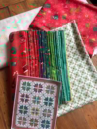 Image 5 of Aster Kit in In From the Cold