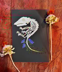 Image 2 of Blooming Shrew Skeleton 5 X 7 Giclee Print