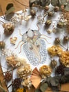 Sycamore lace bug