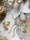 Sycamore lace bug