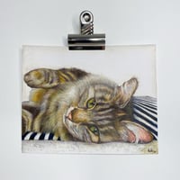 Full Colour Pet Pawtrait